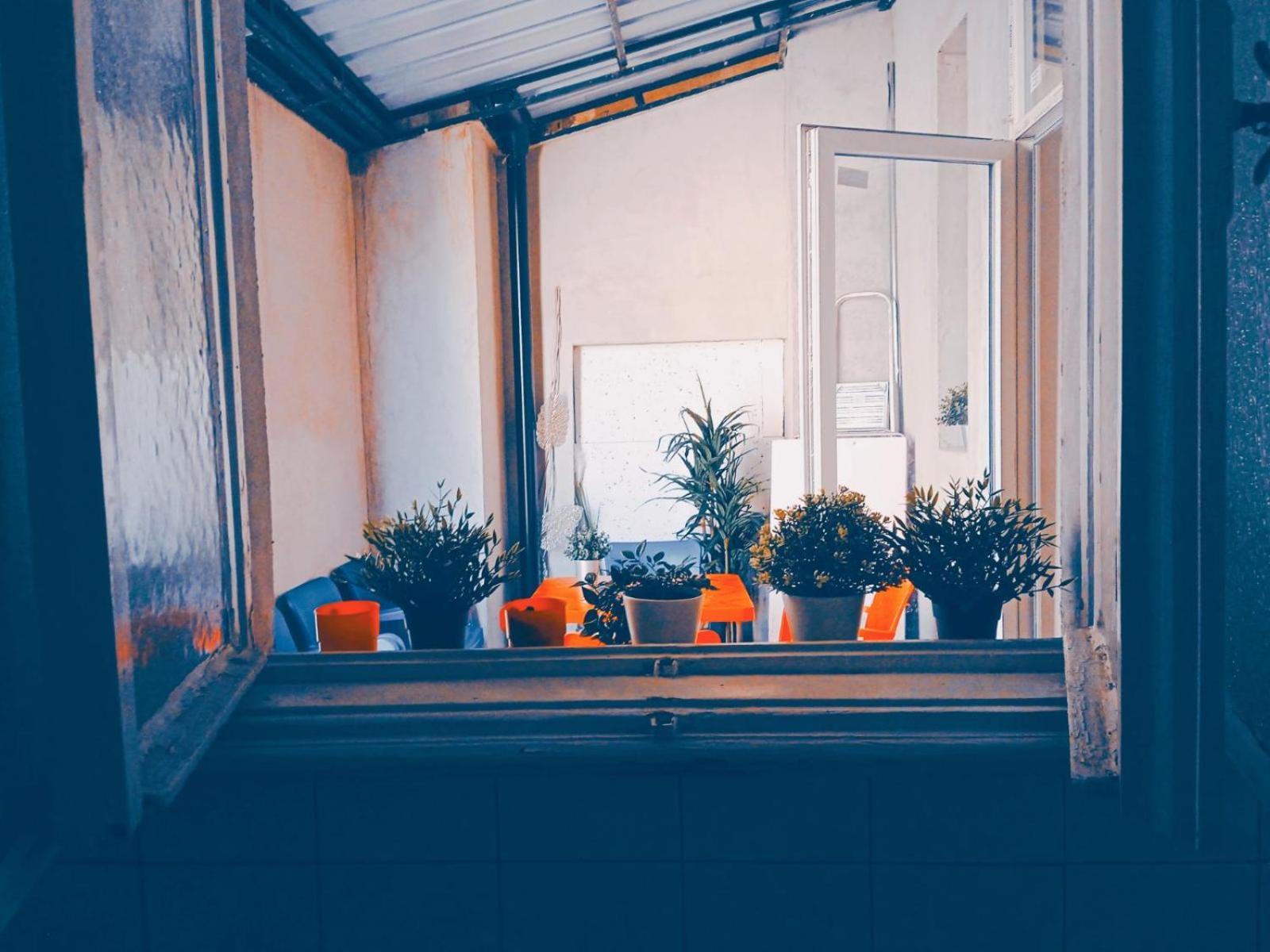 Studio Eva Sajmiste Exteriér fotografie